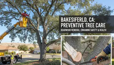 Arborist removing dead branches during professional tree trimming in Bakersfield, CA
