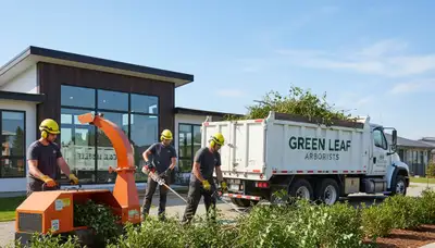 Professional shrub removal service in Bakersfield, CA clearing overgrown bushes and yard debris